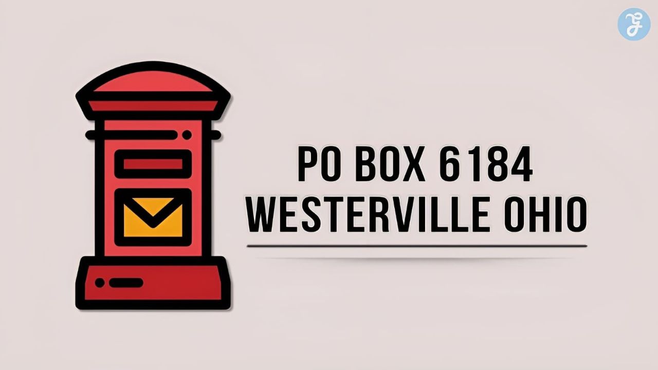 PO Box 8184