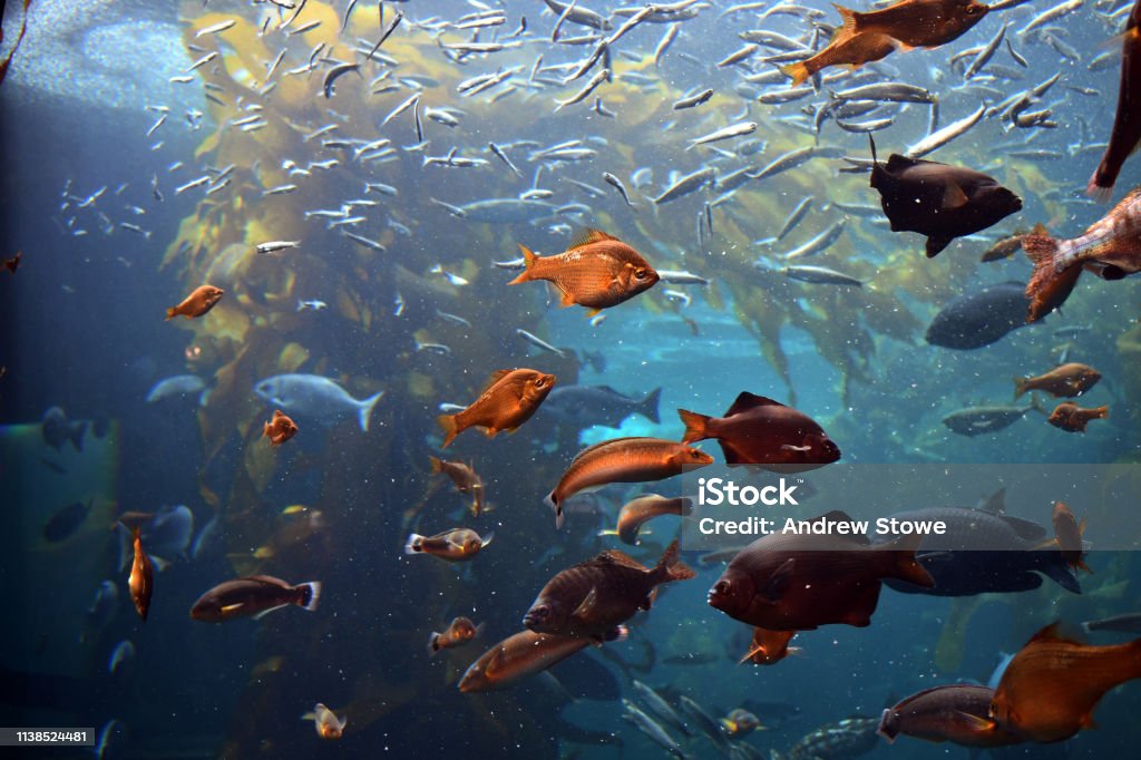 Underwater pyramids